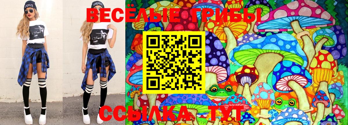 Псилоцибиновые грибы Psilocybe Алексин