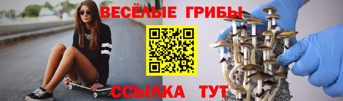Псилоцибиновые грибы Cubensis  Вход с VPN  Алексин  Псилоцибиновые грибы ЛСД 